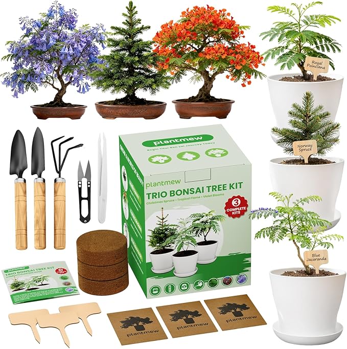 Gifts & Crafts for Adults - Bonsai Tree Starter Kit with 3 Unique Japanese Trees